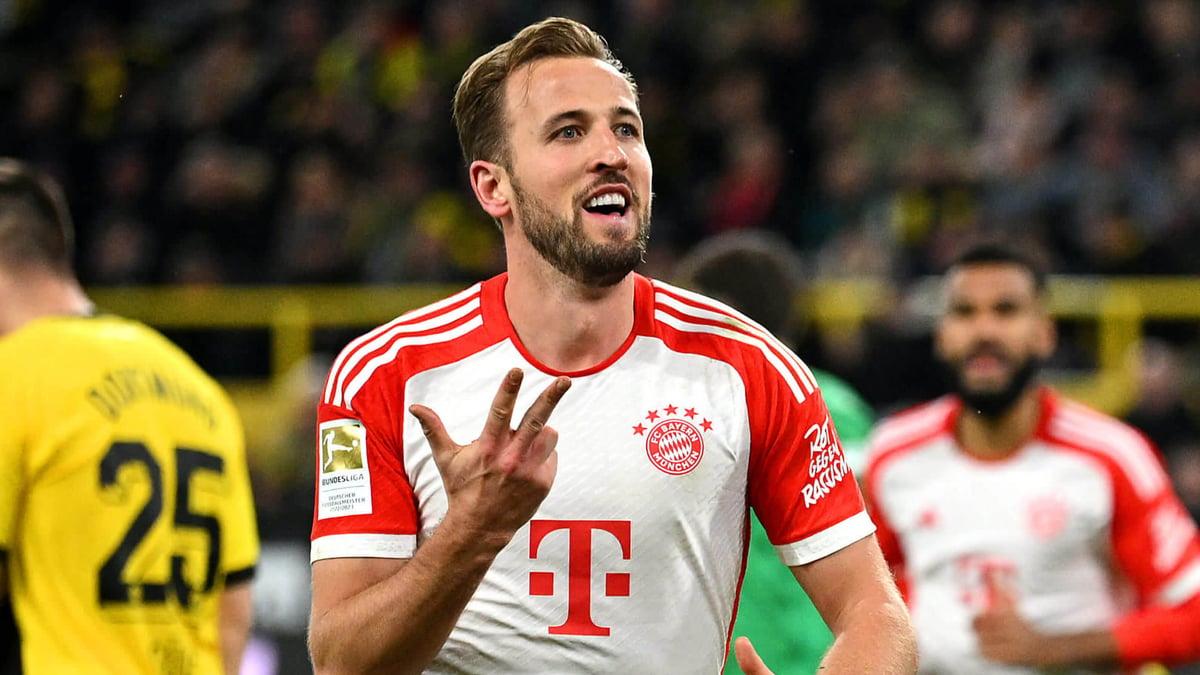 领域的专业 领域的专业