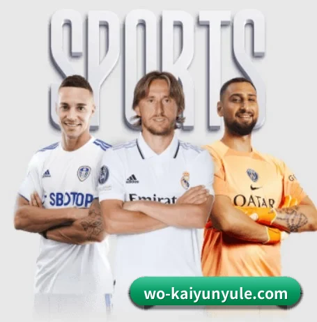 每个板块围绕一个运动项目展开 | kaiyun